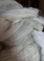 Haut long en laine Devon