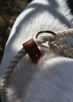 Laisse pour chien Sutton 100 % laine de mouton britannique