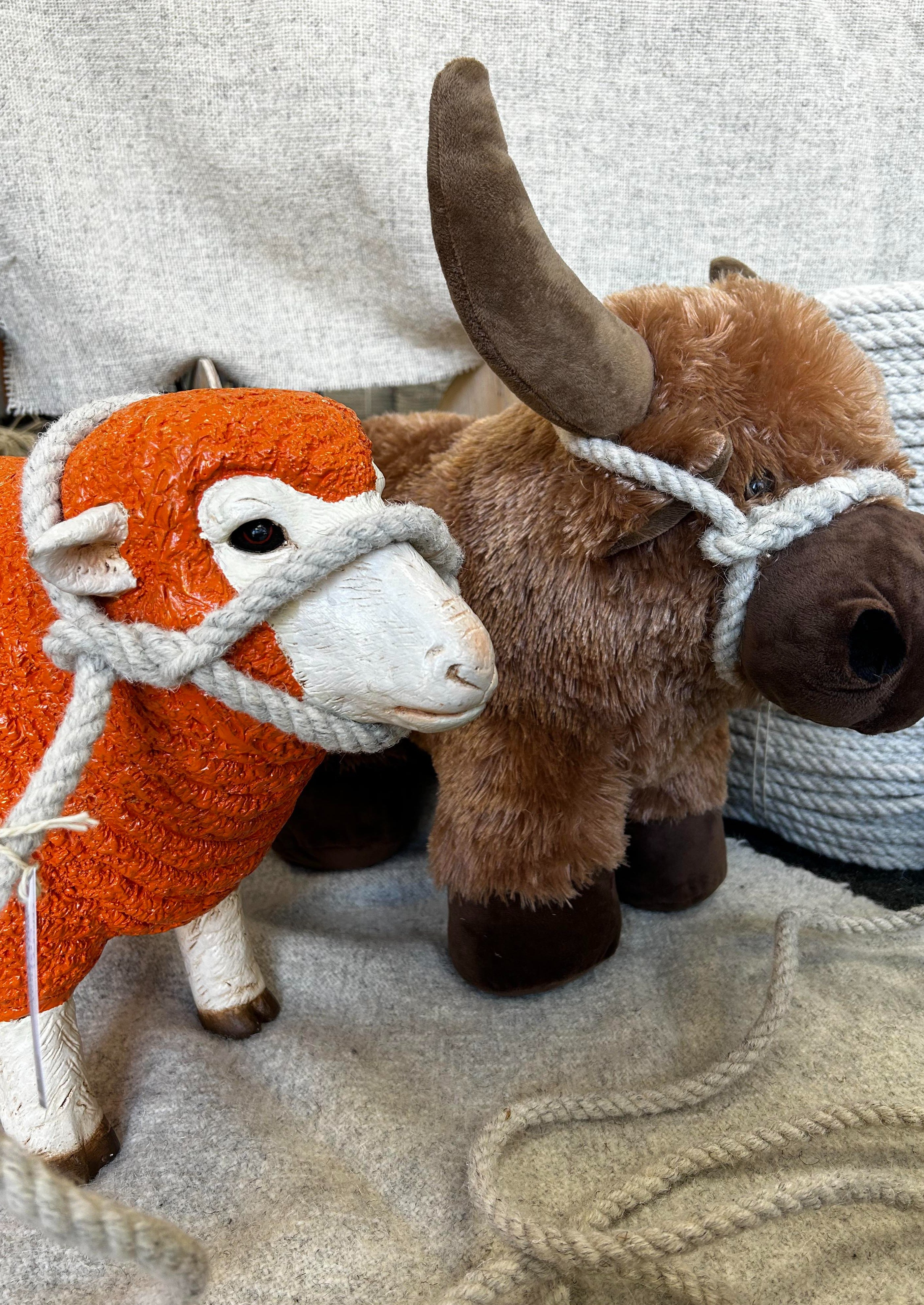 斯韦尔代尔绵羊和小牛缰绳