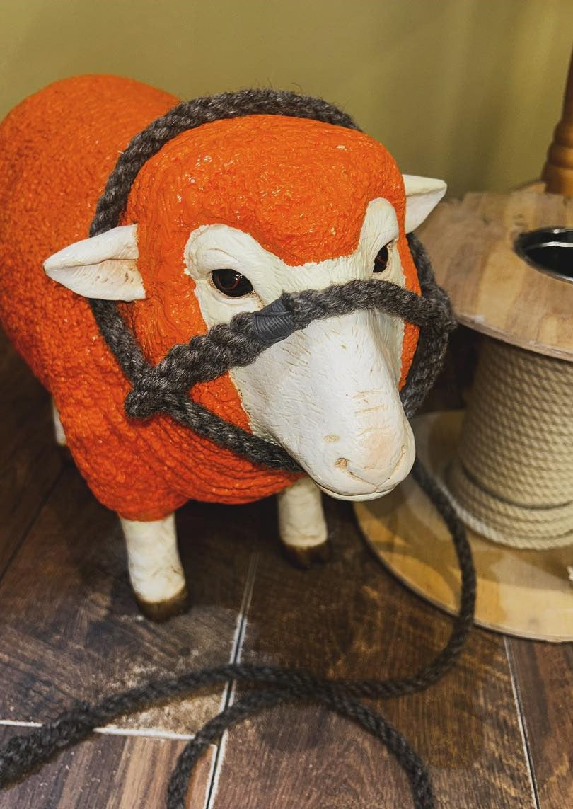 Sheep Rope Halter Sutton Sheep and Calf Halter - Premium Quality and Comfort ...