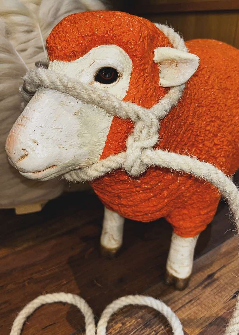 Sheep Rope Halter Sutton Sheep and Calf Halter - Premium Quality and Comfort ...