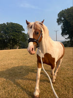 Swaledale Lead Rein