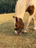 Swaledale Lead Rein