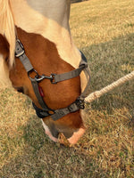 Swaledale Lead Rein