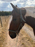 Welsh Lead Rein