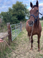 Brampton Lead Rein