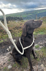 Irish 100% British Sheep Wool Slip Dog Lead