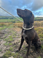 Irish 100% British Sheep Wool Slip Dog Lead