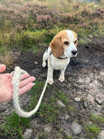 Laisse pour chien Sutton 100 % laine de mouton britannique
