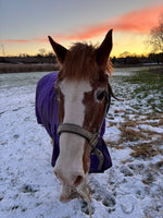 Sutton Lead Rein