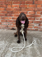 Laisse pour chien Sutton 100 % laine de mouton britannique
