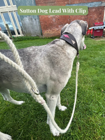 END OF DESIGN dog leads/ pull cords