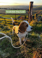 END OF DESIGN dog leads/ pull cords