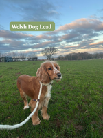 END OF DESIGN dog leads/ pull cords