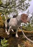 Laisse pour chien Sutton 100 % laine de mouton britannique